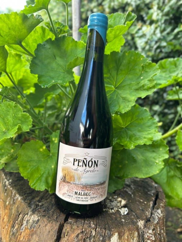 Peñón de Agrelo Malbec