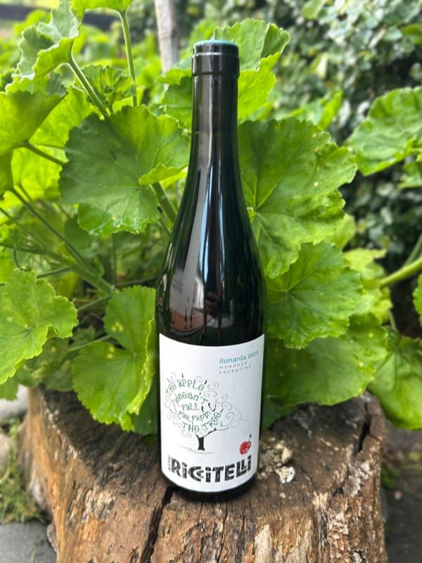 Apple Bonarda by Matías Riccitelli Wines