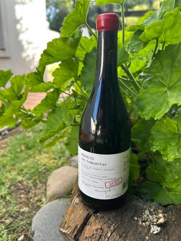 Proyecto Las Compuertas Malbec 5 suelos