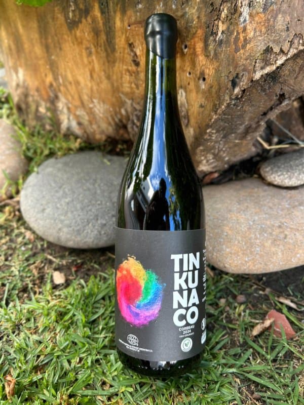 Tinkunaco Corbeau