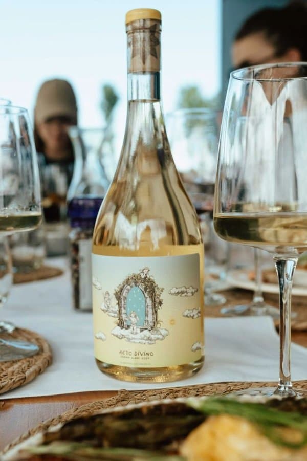 Acto Divino Chenin Blanc