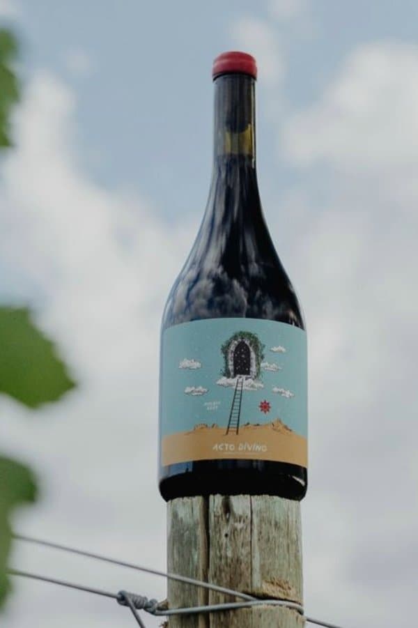 Acto Divino Malbec 2024
