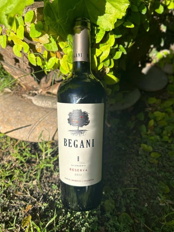 Begani Special Blend