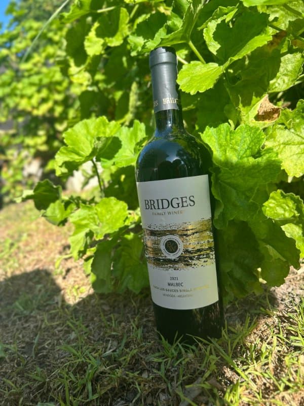 Bridges Single Vineyard Malbec