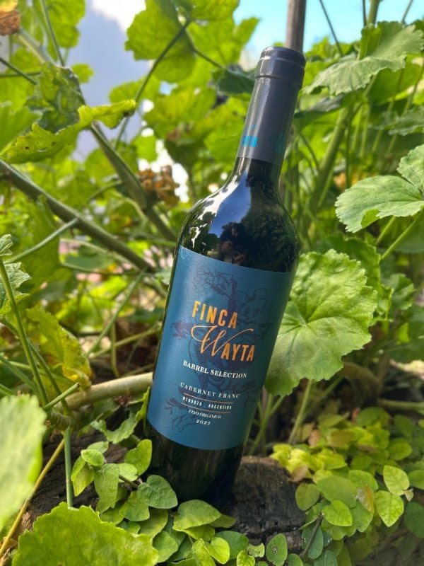 Finca Wayta Cabernet Franc