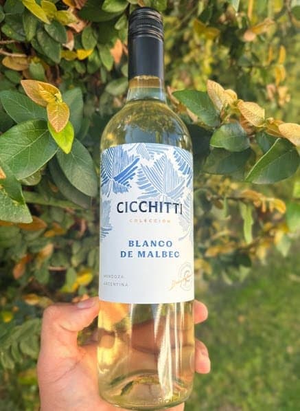 Cicchitti Blanco de Malbec