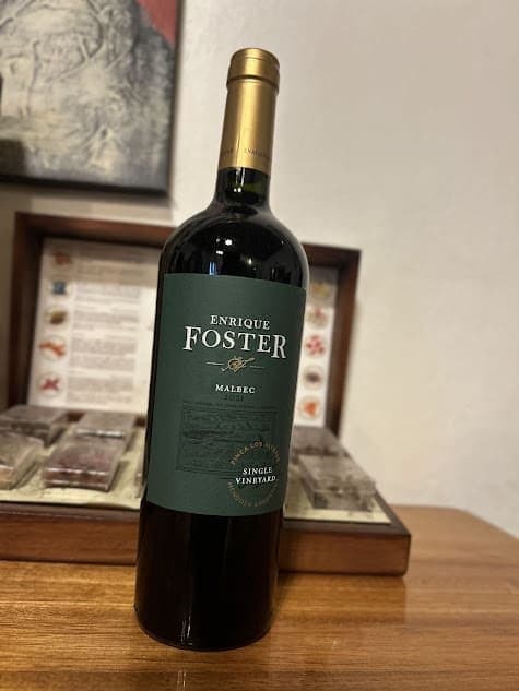 Enrique Foster Malbec Single Vineyard Los Altepes