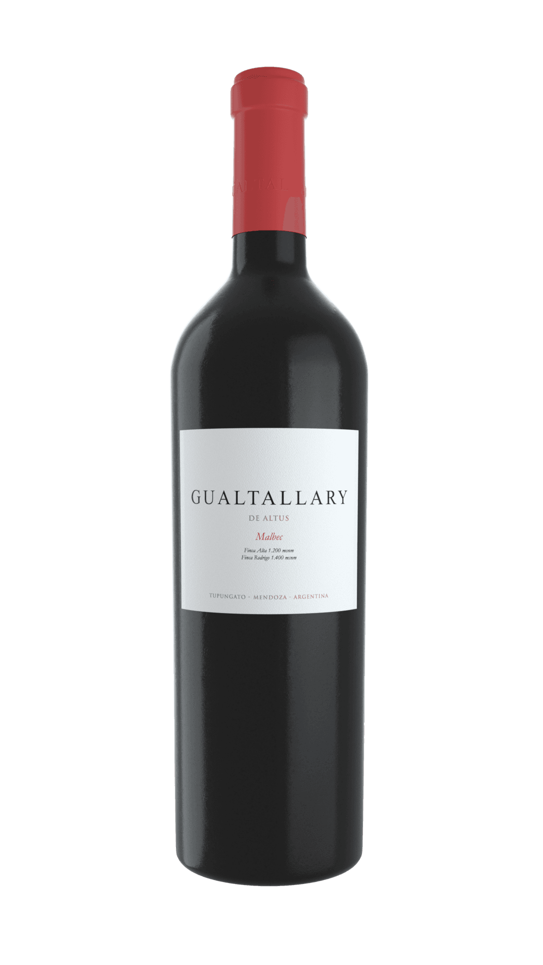 Gualtallary Malbec