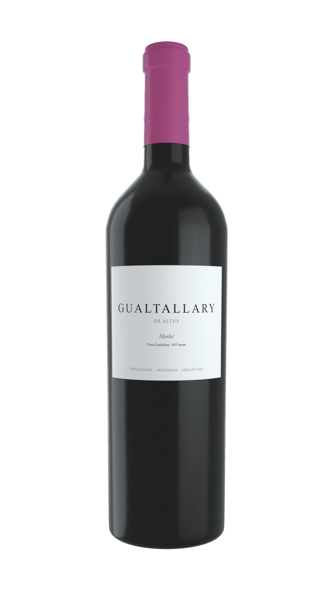 Gualtallary Merlot