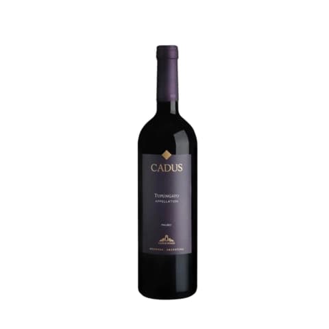 Cadus Tupungato Appellation Malbec