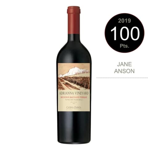 Catena Zapata Adrianna Vineyard Mundus Bacillus Terrae Malbec 2019 (100 Pts Jane Anson)