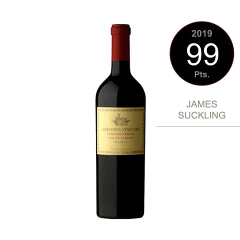 Catena Zapata Adrianna Vineyard Fortuna Terrae 2019 (99 Pts James Suckling)
