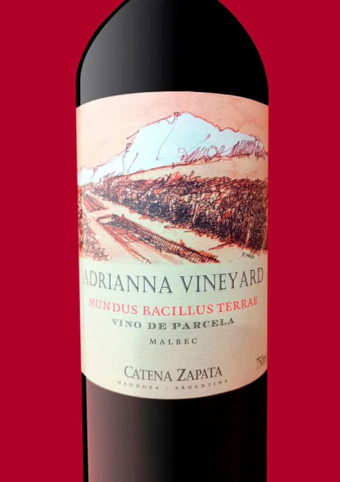 ADRIANNA VINEYARD MUNDUS BACILLUS MALBEC 2018