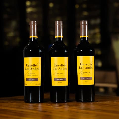 Cuvelier los Andes Malbec Vertical (16-17-20)