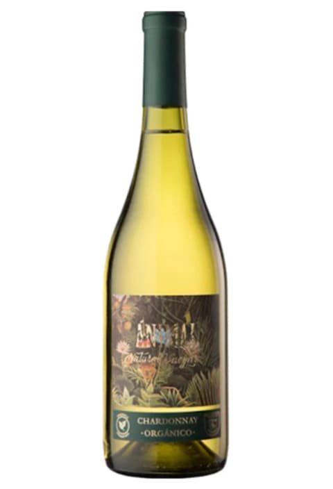 Chardonnay