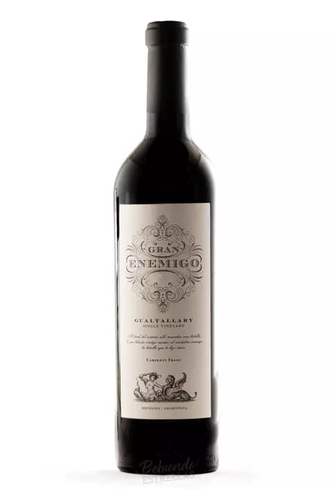 Vino Gran Enemigo Gualtallary Cabernet Franc 750 Ml año 2019 -100 Punto Parker