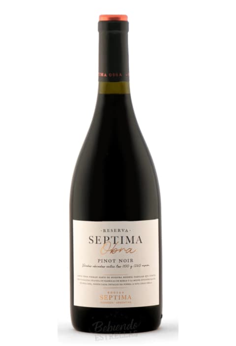 Obra Reserva Pinot noir