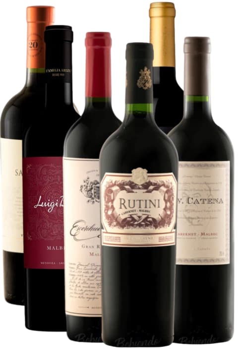 Caja Selección Premium x 6 vinos con 20% OFF