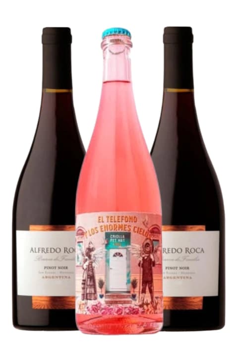 2 Alfredo Roca Reserva Pinot Noir + Espumante El Telefono
