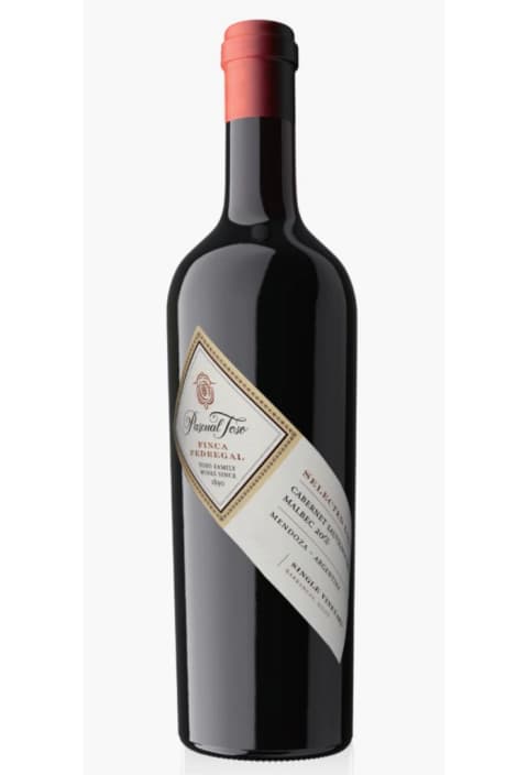 Pascual Toso Finca Pedregal Blend