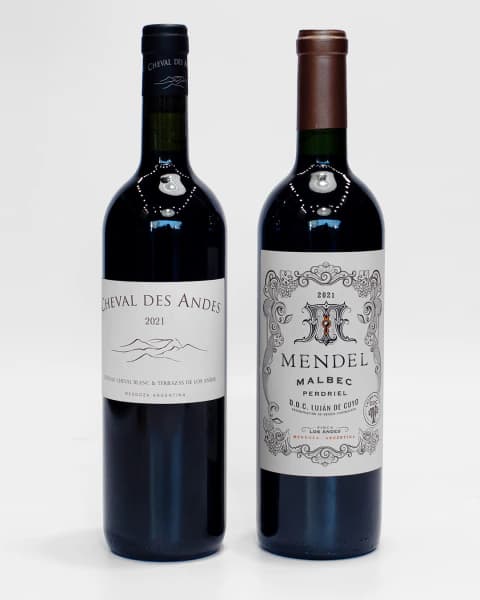 Duo Íconos de Mendoza