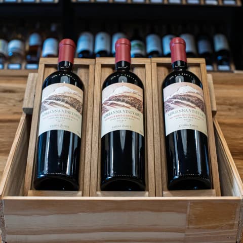 Colección Adrianna Vineyard Mundus Bacillus