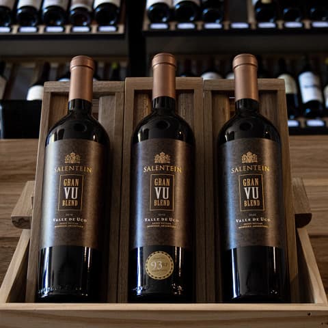Colección Gran VU Blend