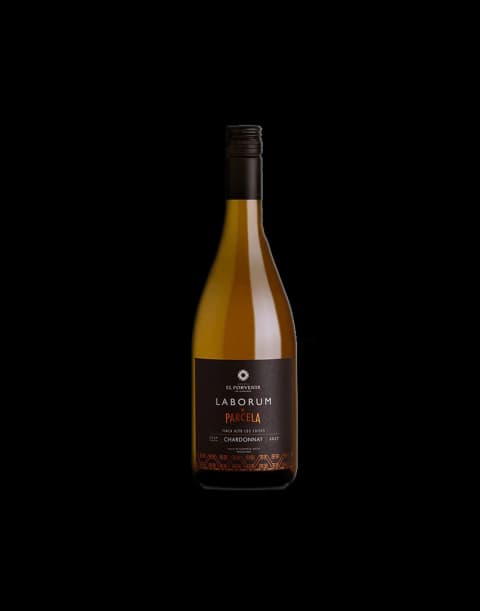 Laborum Parcela Chardonnay Finca Alto Los Cuises