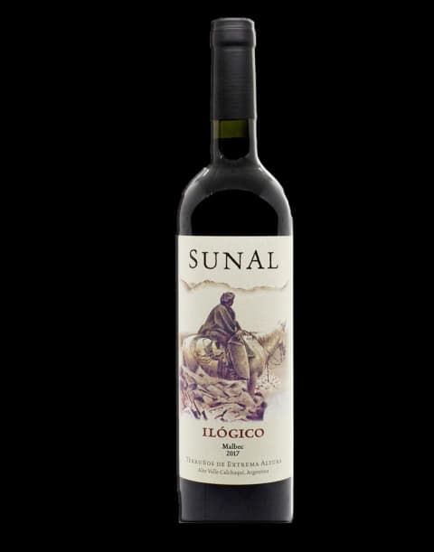SUNAL ILÓGICO 2017