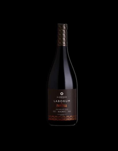 Laborum Parcela Malbec de Finca Alto Los Cuises
