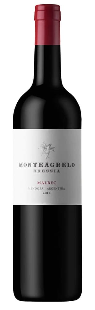 Monteagrelo Bressia Malbec x 750c.c.
