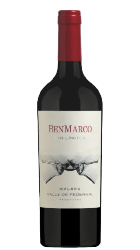Susana Balbo Benmarco Sin Límites Malbec Pedernal 2021