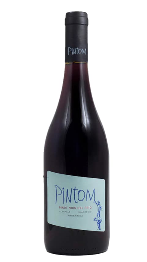 Pintom Pinot Noir 2023
