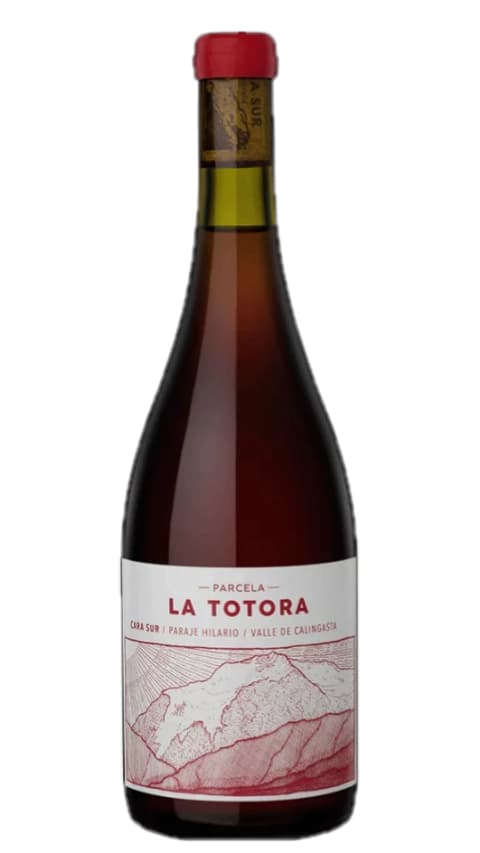 Cara Sur Parcela La Totora