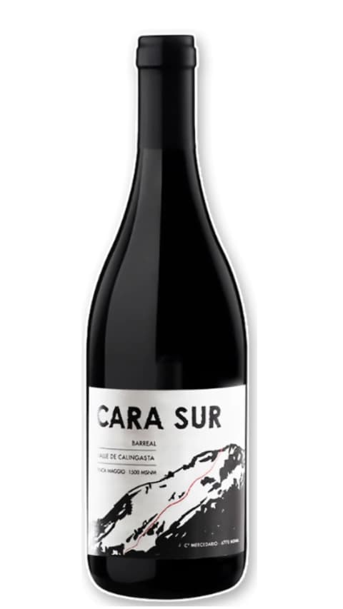 Cara Sur Tinto