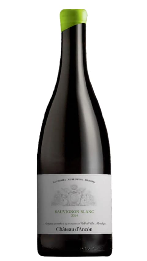 Chateau D’Ancón Viejas Viñas Sauvignon Blanc
