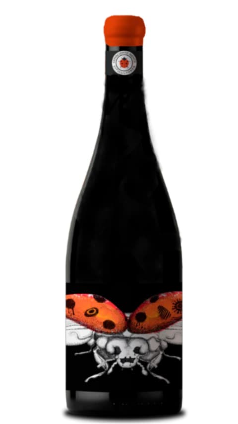 Conscientemente Viticultores Malbec