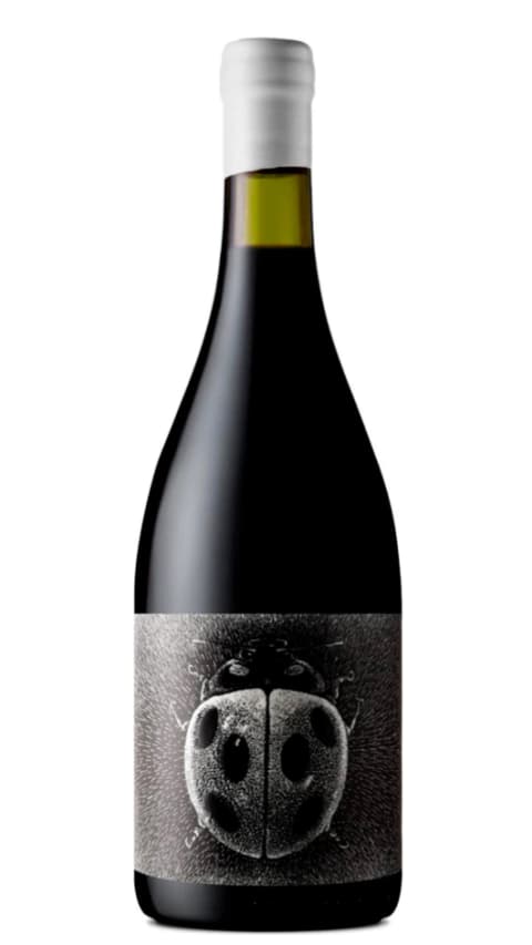 Conscientemente Viticultores Pinot Noir 2023