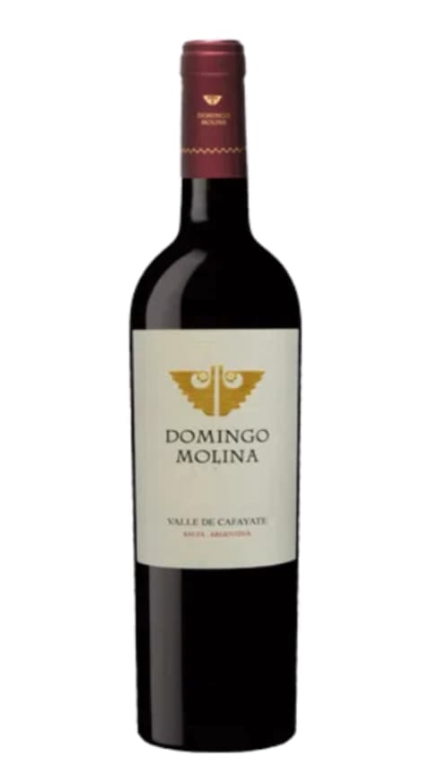 Domingo Molina Cabernet Franc 2022