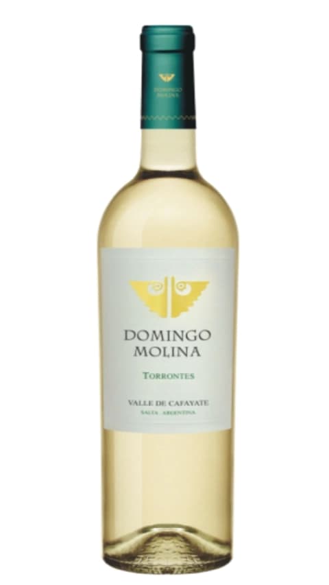 DOMINGO MOLINA TORRONTES