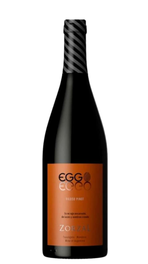 EGGO Filoso