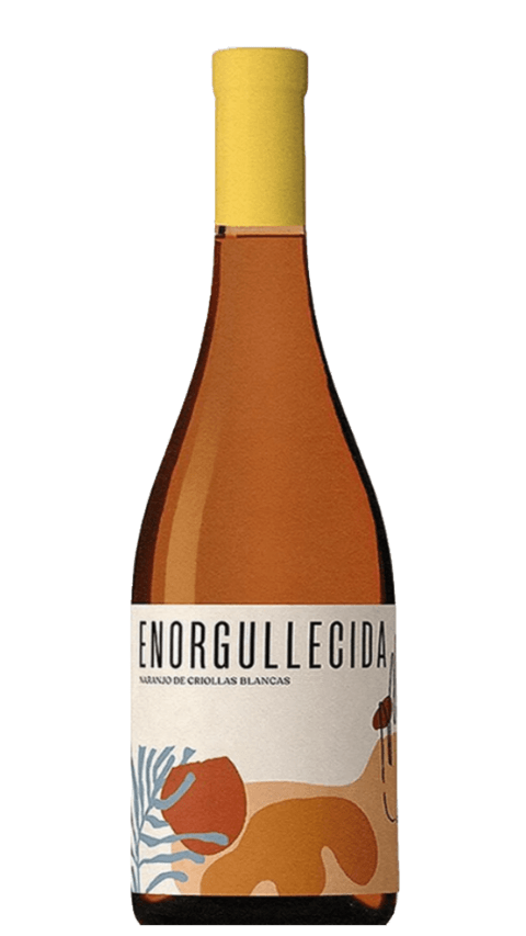 Enorgullecida Naranjo 2025