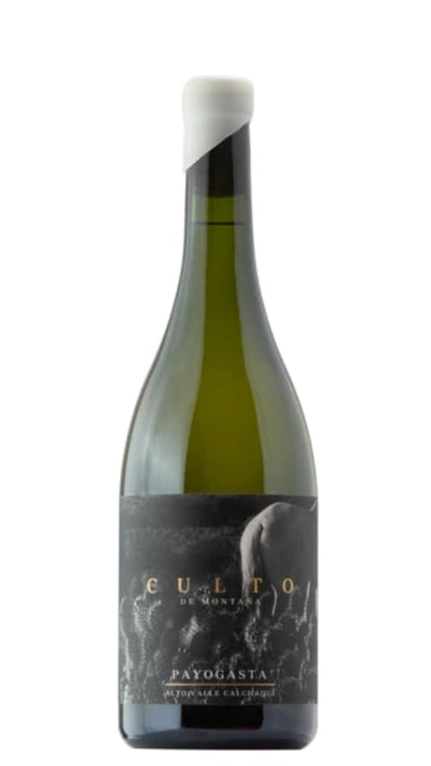 Culto Sauvignon Blanc 2019
