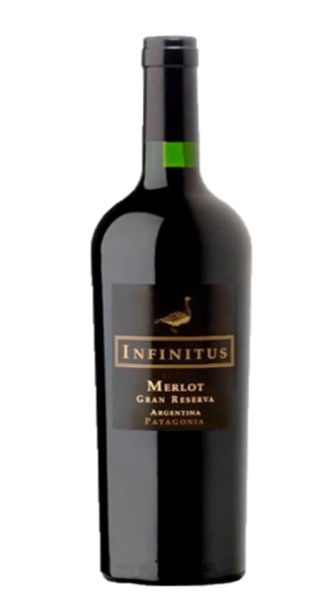 Infinitus Gran Reserva Merlot 2021