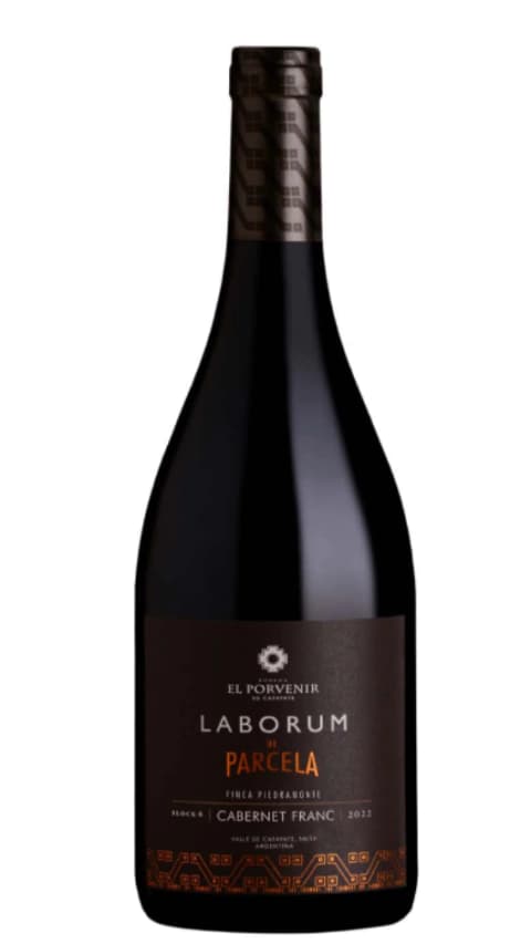 El Porvenir Laborum de Parcela Cabernet Franc Finca Piedramonte 2022