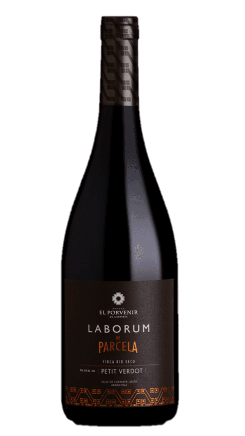 El Porvenir Laborum de Parcela Petit Verdot Finca Rio Seco 2022