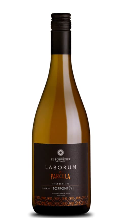 El Porvenir Laborum de Parcela Torrontés Finca El Retiro 2023