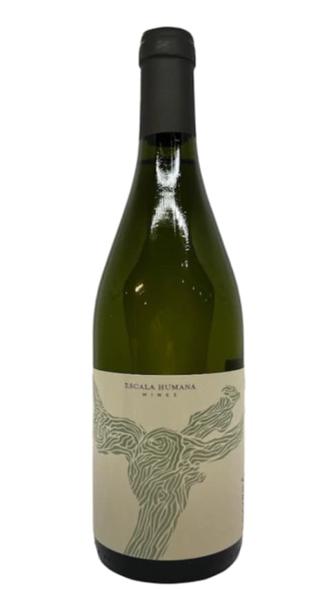 Livvera Semillon 2025