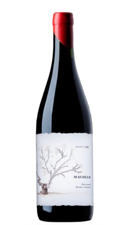 Macollo Chardonnay Naranjo 2023