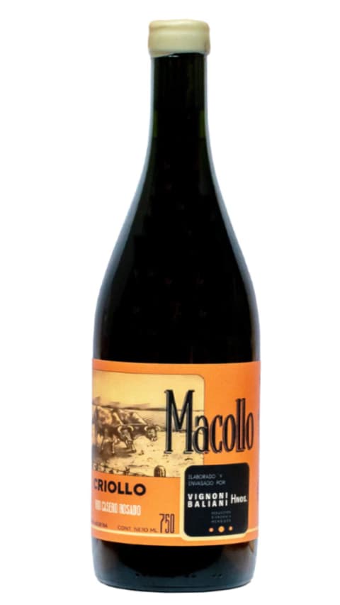 Macollo Criollo 2024